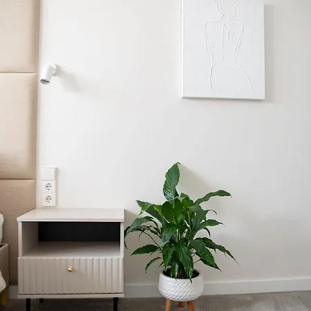 M 8 * Κάουνας